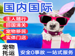 北京大兴机场快递国际宠物托运 【国